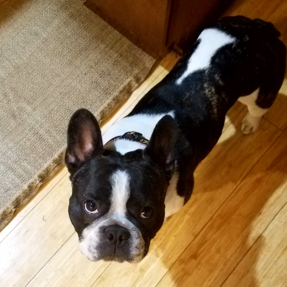 Meet your Posher, Whitney